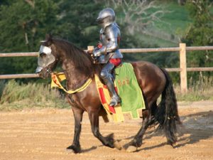 Рыцарский конь фото